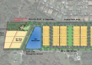 Osceola County Lakefront Development Plan with Townhomes, lake access, single family home lots, on-site stormwater and central park area