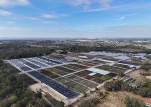 aerial image of dewars nursery showing fields of plants