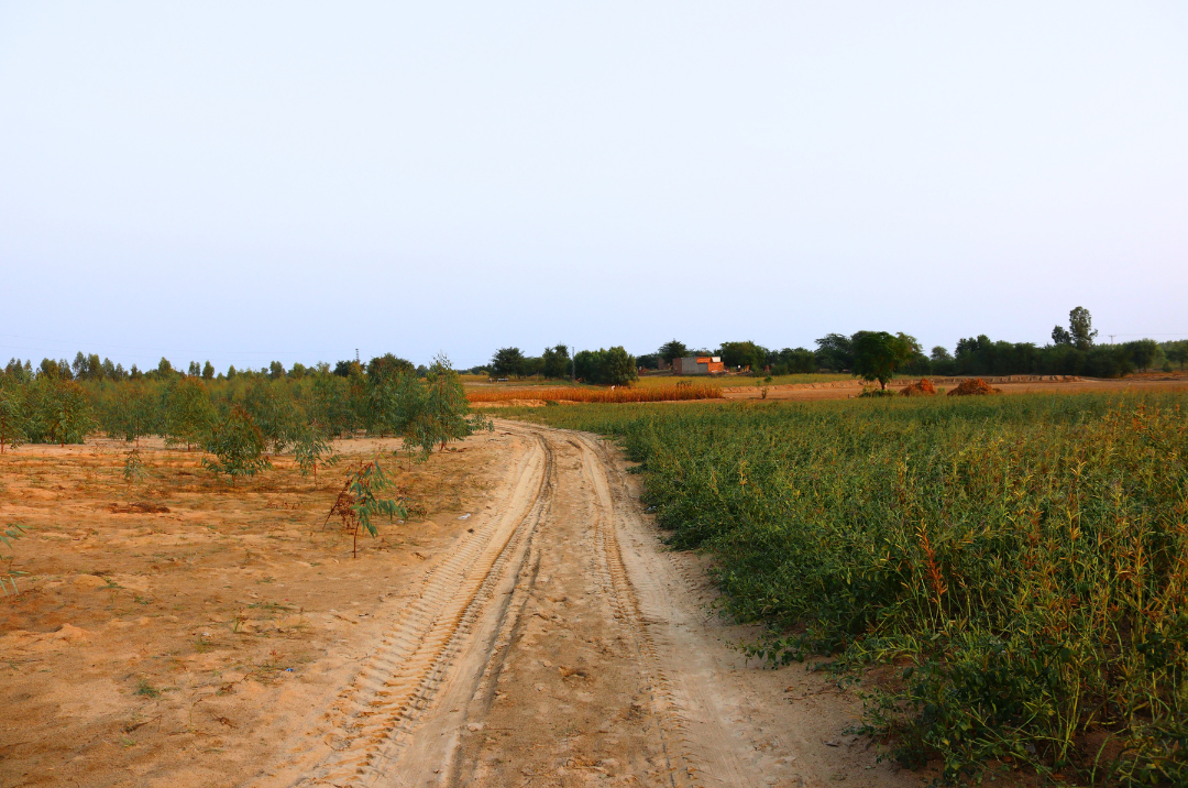 Land Zoning